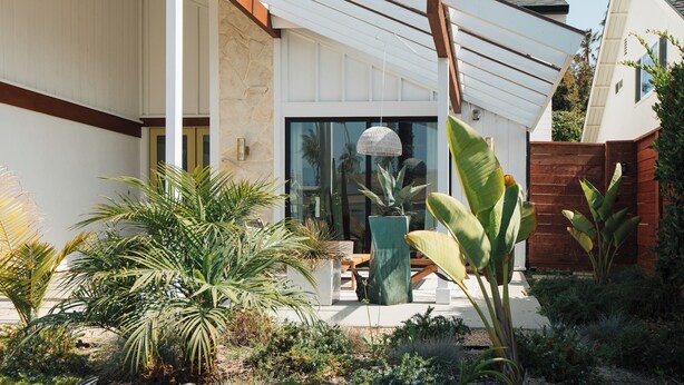 A modern house with a patio, large windows, and a variety of plants.