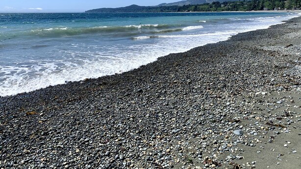 A pebble beach with a view of the ocean and distant hills. - Cozy and Private West Coast Home (Sooke)