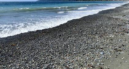 Cozy and Private West Coast Home