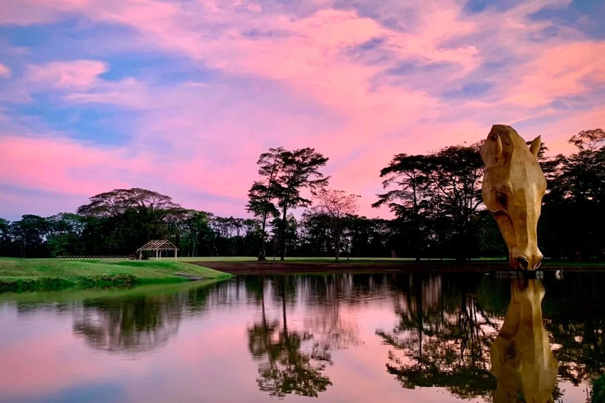 A serene landscape with a pond reflecting trees and a gazebo.