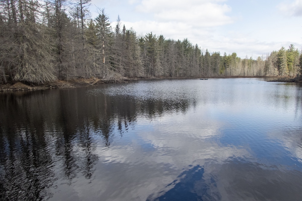 Retreat cottage on private 12-acre pond.