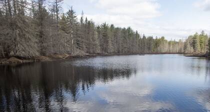 Retreat cottage on private 12-acre pond.