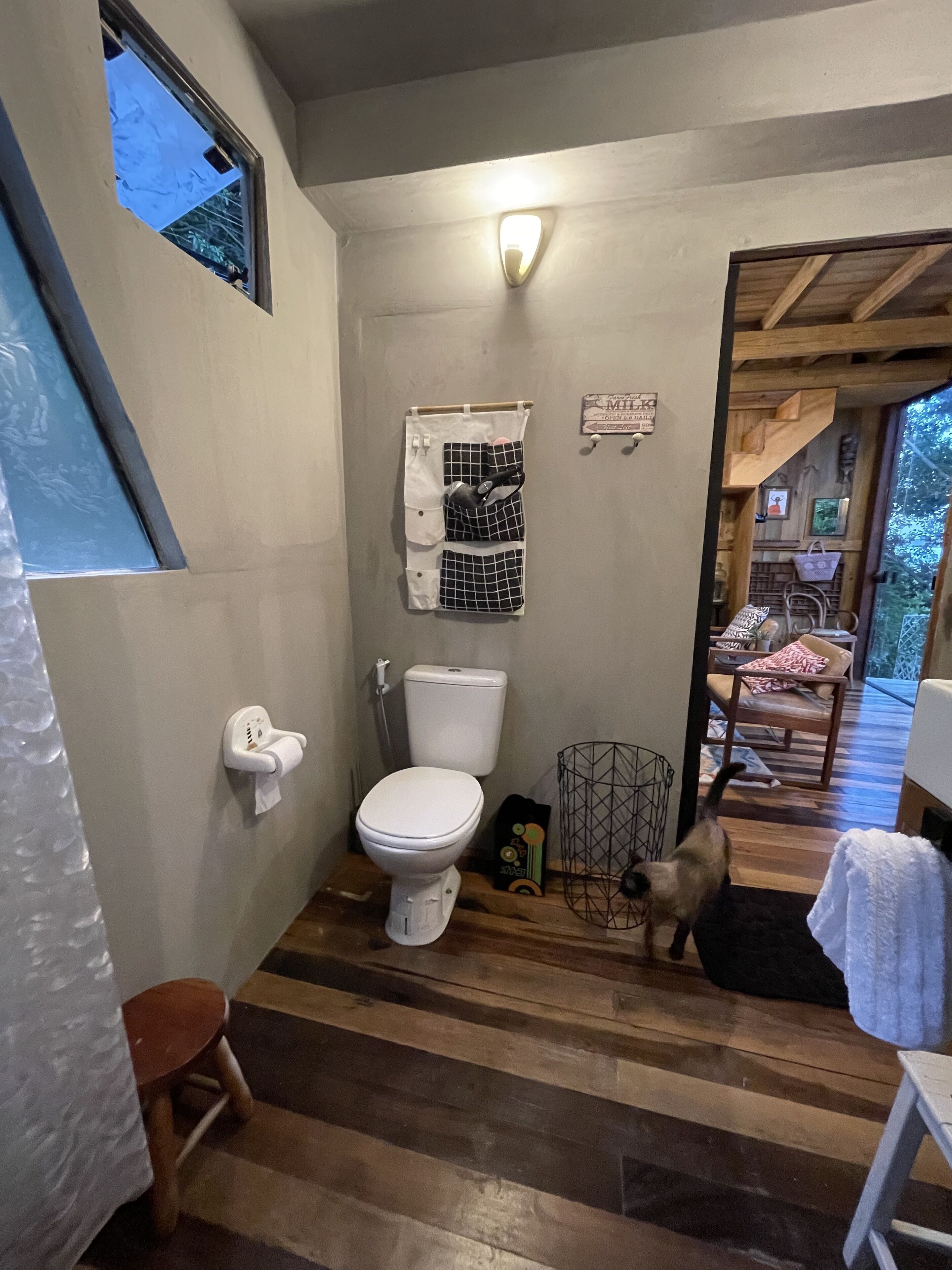 bark on the tree in front of the lake