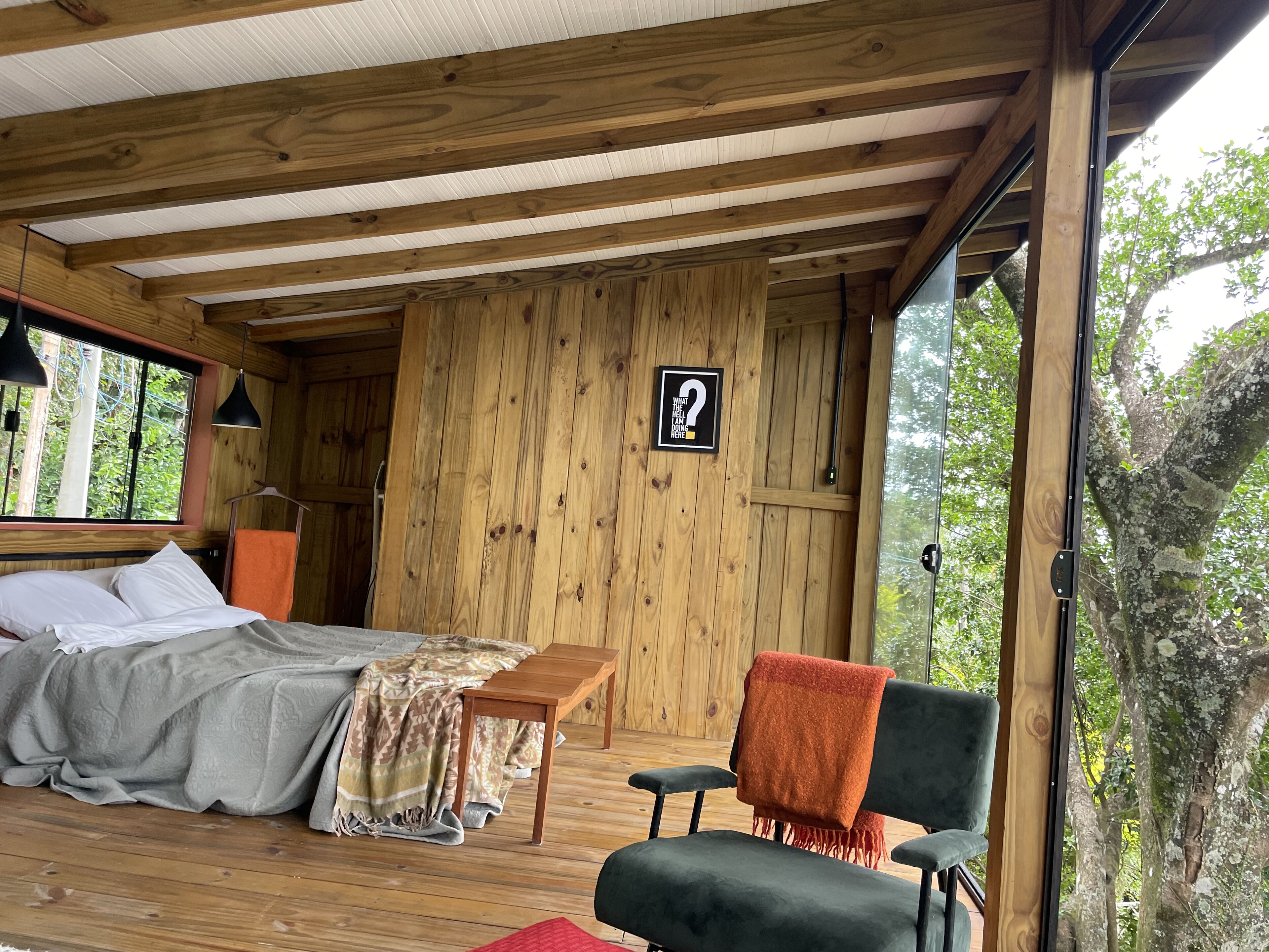 bark on the tree in front of the lake