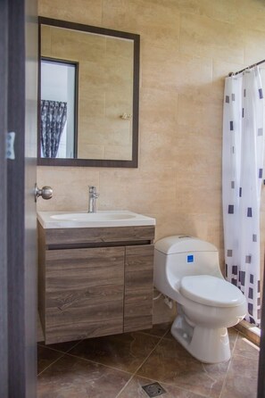 Regadera, secadora de cabello, toallas, jabón 