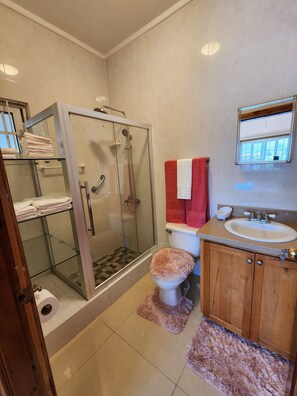 Secador de cabelo, toalhas de banho, sabonete, shampoo