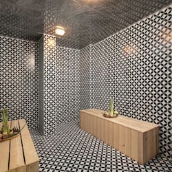 Sauna a vapor