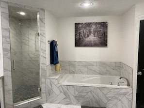 Shower, jetted bath, hair dryer, bidet
