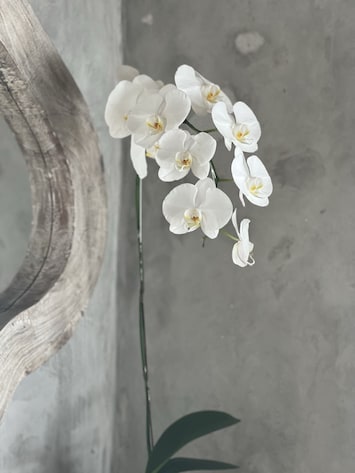 Détail de l’intérieur