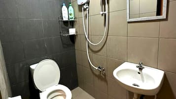 Shower, bidet, towels, toilet paper