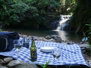 Property grounds - Romantic rainforest retreat with magical waterfall (Cow Bay)