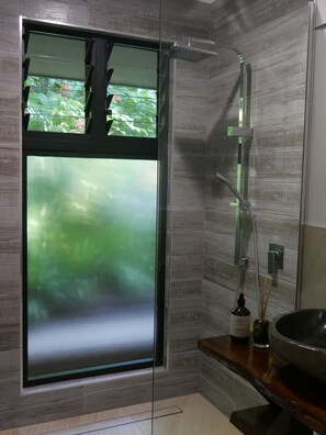 Shower, hair dryer, towels, soap
