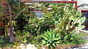 A garden with various plants and a building in the background. - Sa Domu de Jana - Studio apartment with garden and panoramic view of Poetto (Quartu Sant'Elena)
