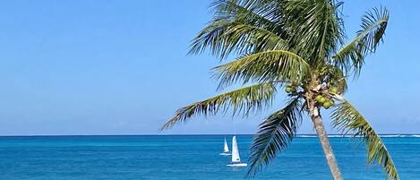 Chaise longue, serviettes de plage
