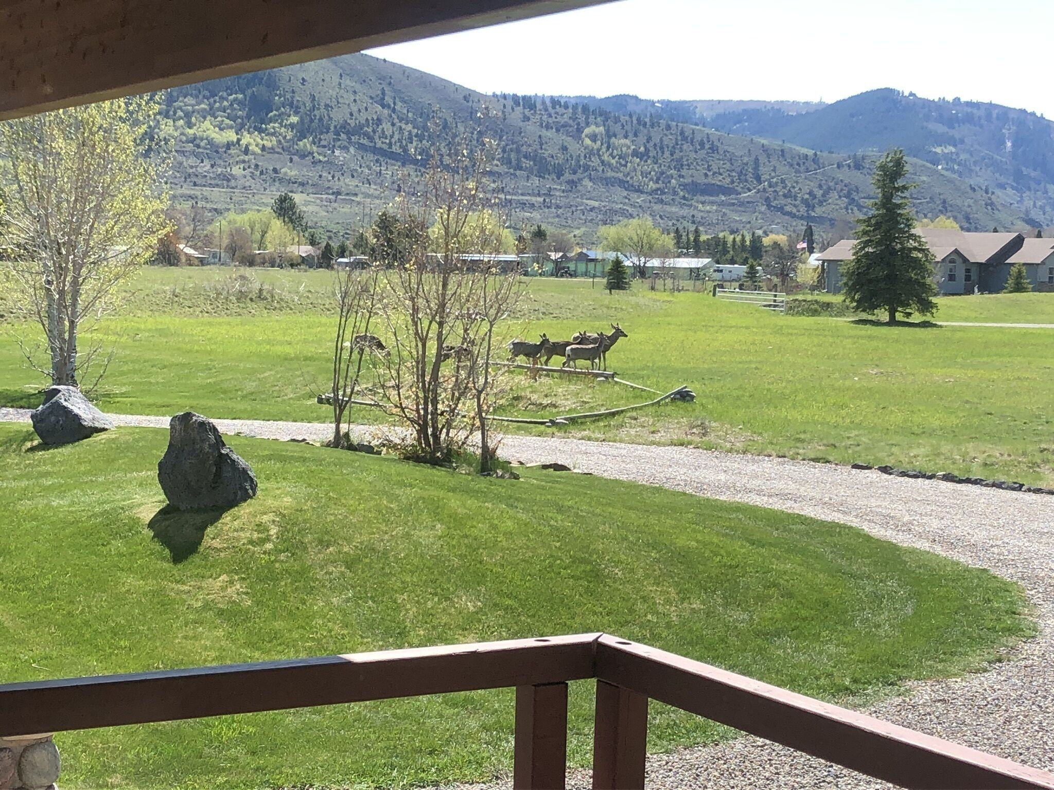 Fly fishing paradise