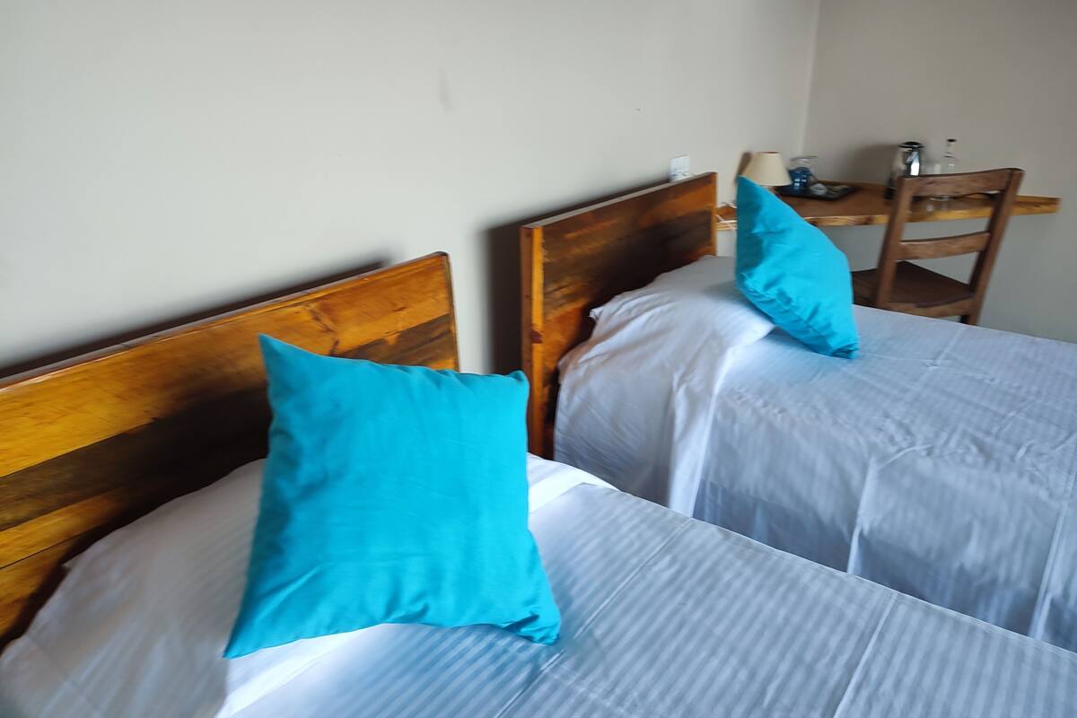 Two single beds with wooden headboards and blue pillows, a small table with a lamp, and a chair.