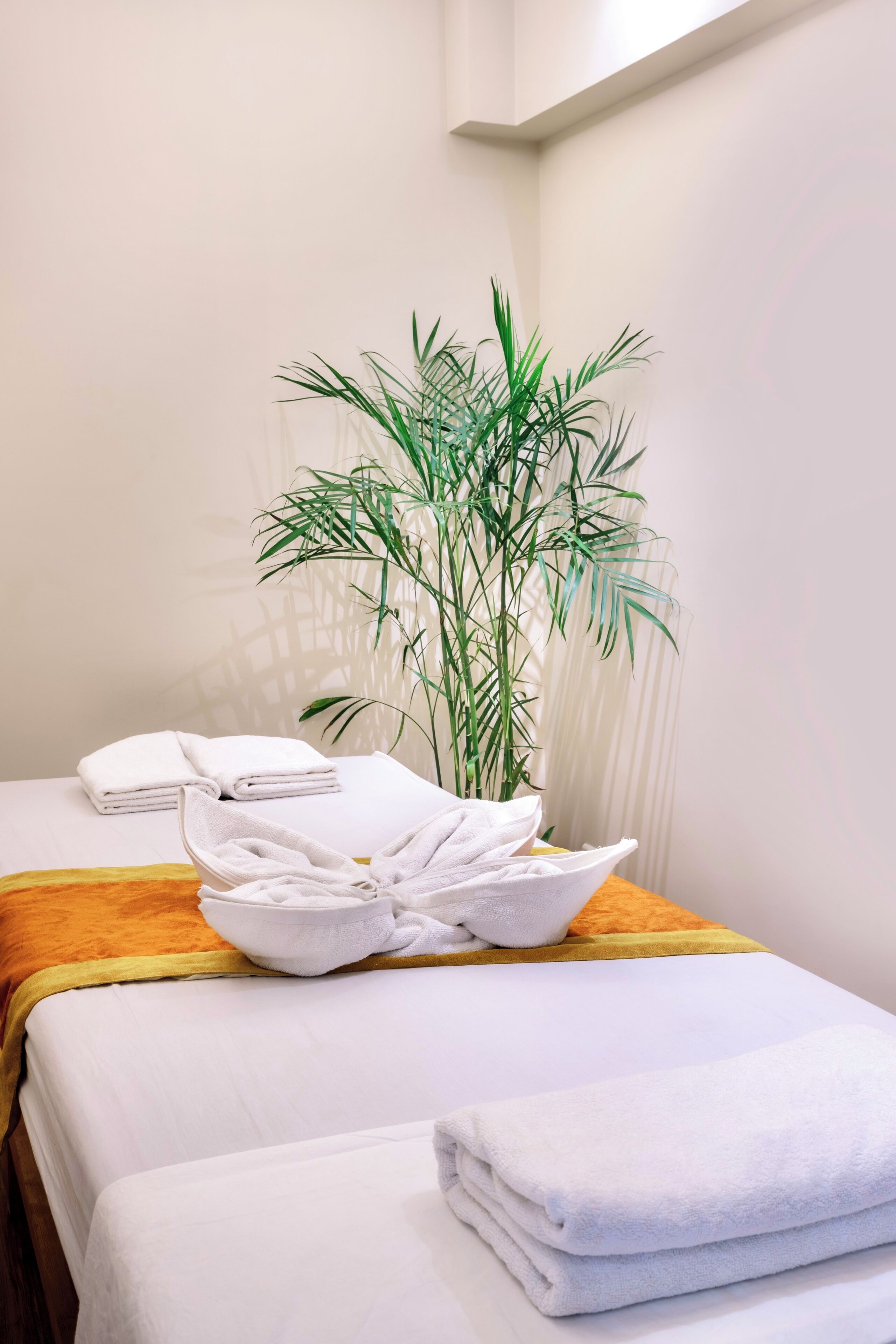 A neatly made bed with white linens, a bowl of folded towels, and a potted plant.