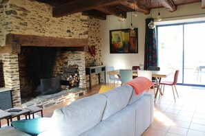 TV, fireplace, books