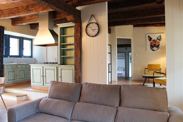 TV, fireplace, books