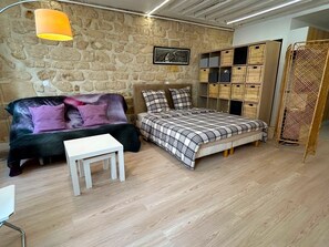 Iron/ironing board, free WiFi, bed sheets - Loft Saint André (Paris)