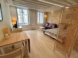 Iron/ironing board, free WiFi, bed sheets - Loft Saint André (Paris)