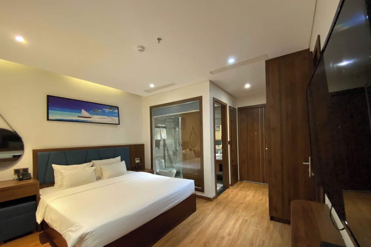 A modern hotel room with a large bed, a TV, a wardrobe, and a glass shower enclosure.