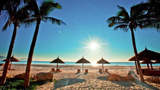 Una playa con palmeras, sombrillas y sillas de descanso.