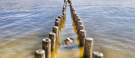 Un sendero de madera que se adentra en un cuerpo de agua, rodeado de rocas y vegetación.