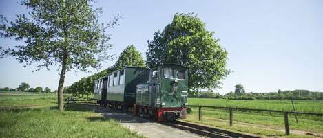 A green train on a railway track with a grassy field and trees in the background.