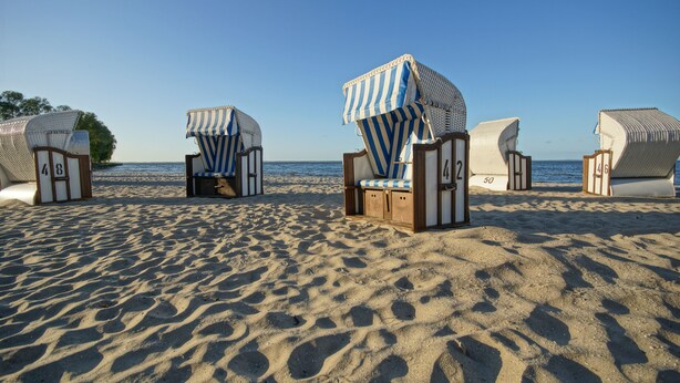 Cadirenes de platja amb números als respatllers, col·locades sobre sorra, amb l'oceà al fons.