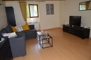 电视、DVD 播放器、书