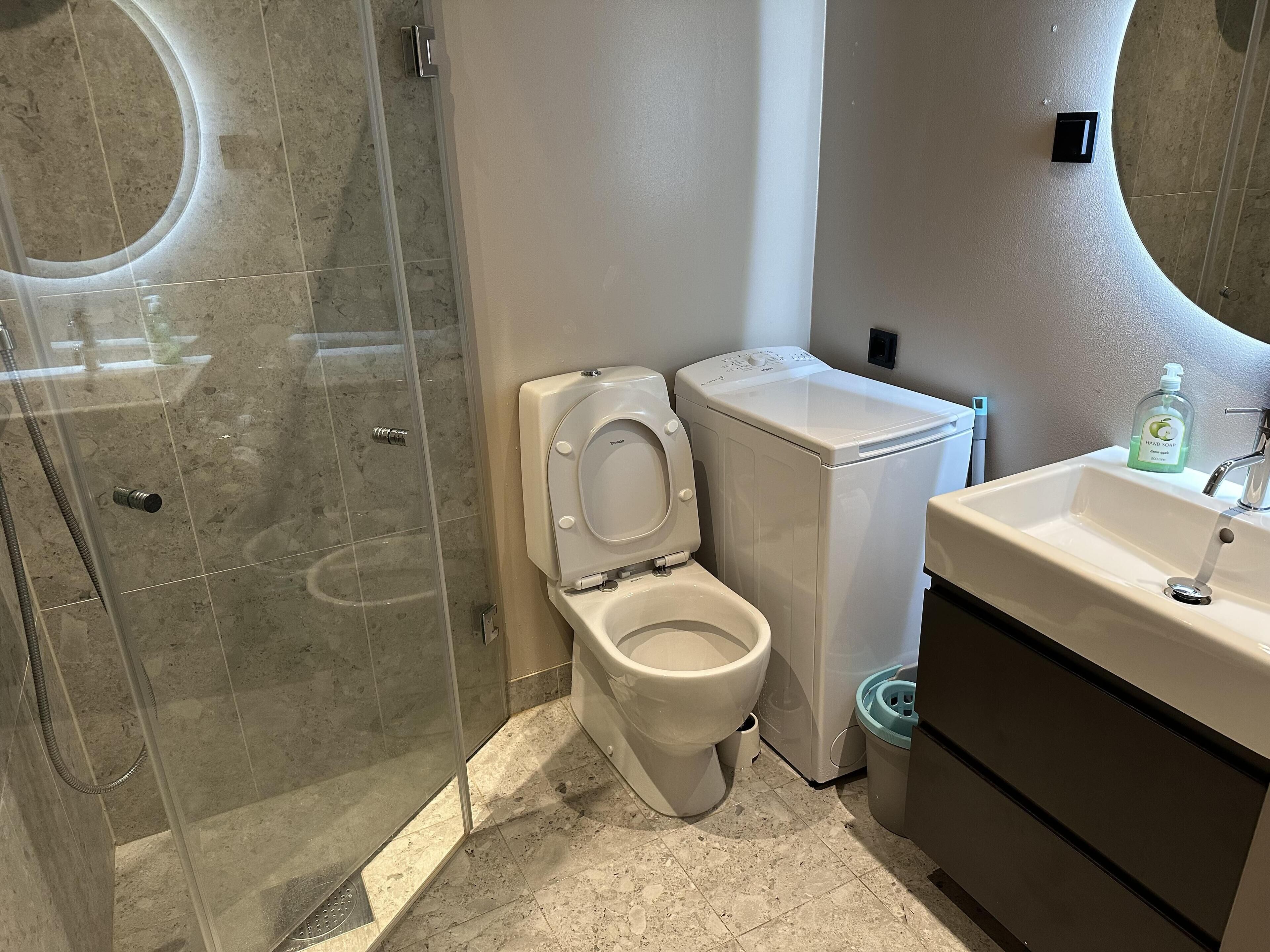 A bathroom with a toilet, washing machine, and sink.
