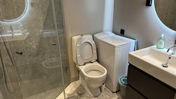 A bathroom with a toilet, washing machine, and sink.