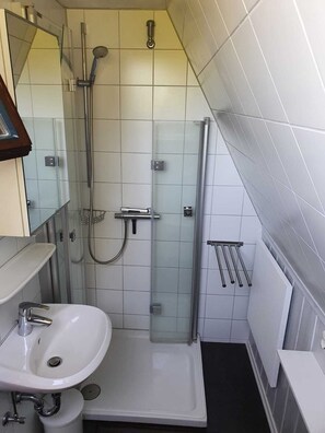 Ducha, secador de pelo, jabón y champú