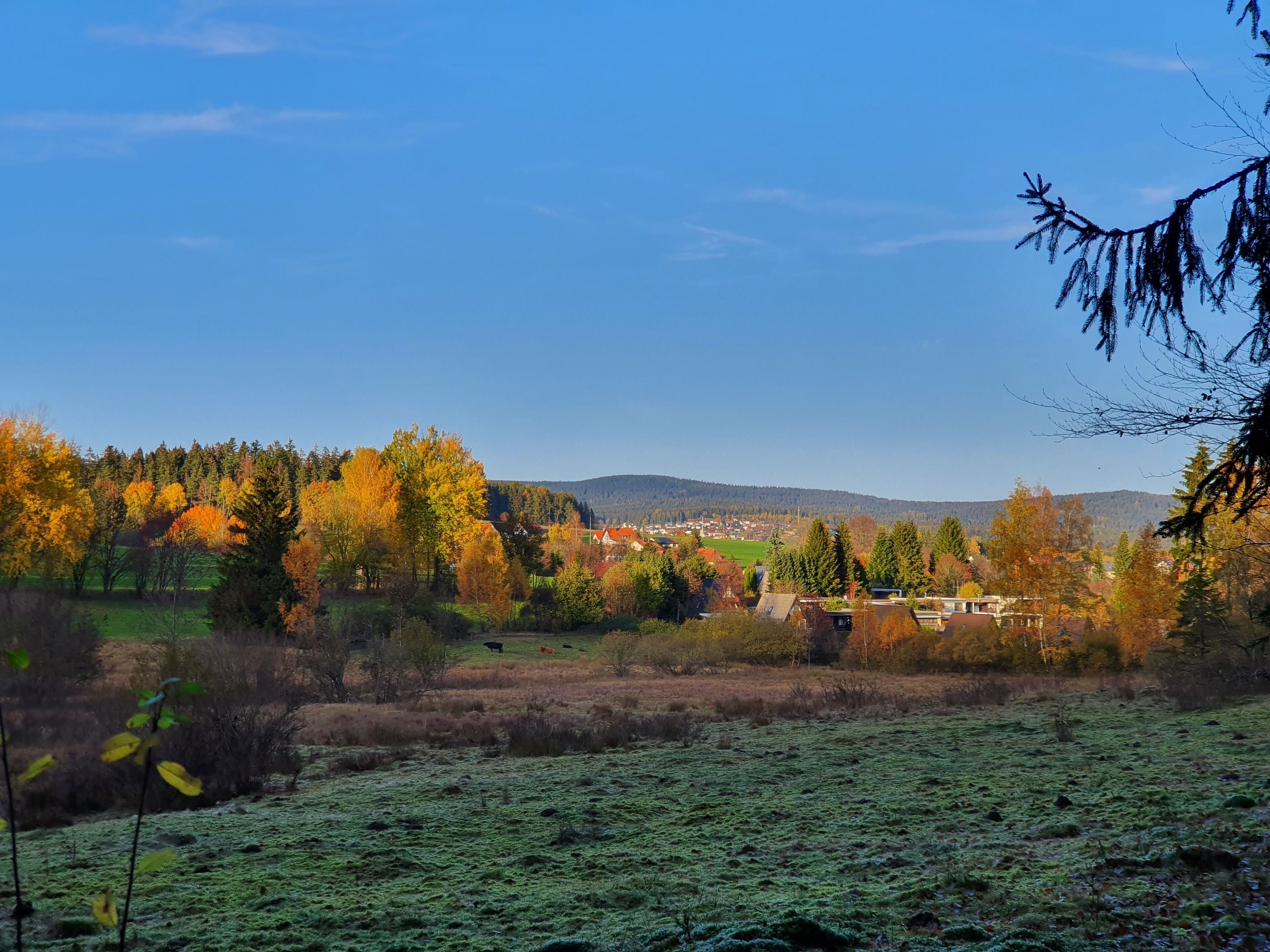 Un paysage rural avec un champ, des arbres et un village situé au loin.