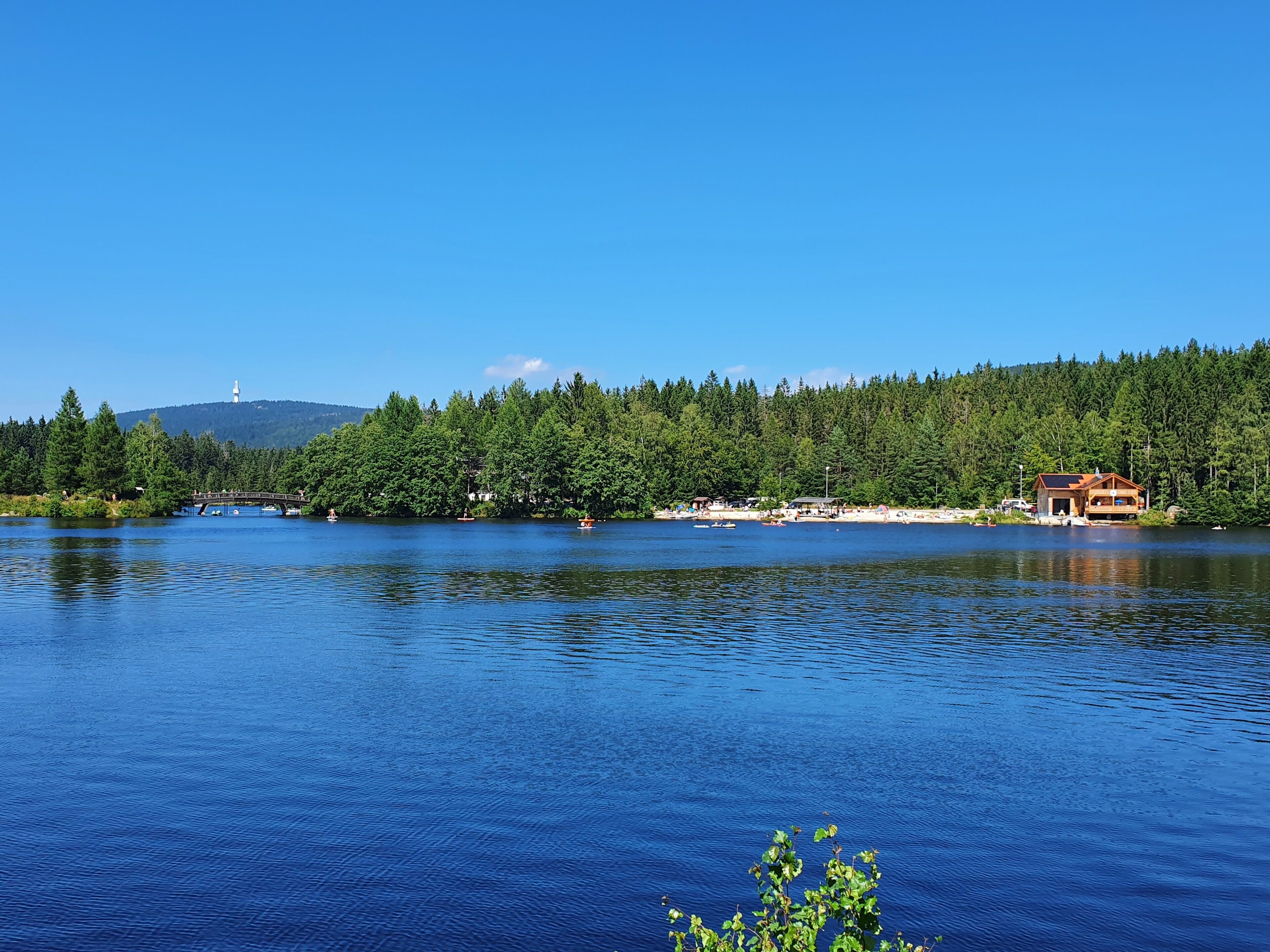 En vy över en sjö med en trästuga, en bro och en tät skog i bakgrunden.