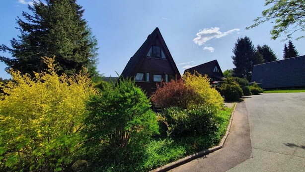 Un quartier résidentiel comprenant deux maisons, dont l’une a un toit triangulaire, le tout entouré d’une végétation luxuriante et d’arbres.