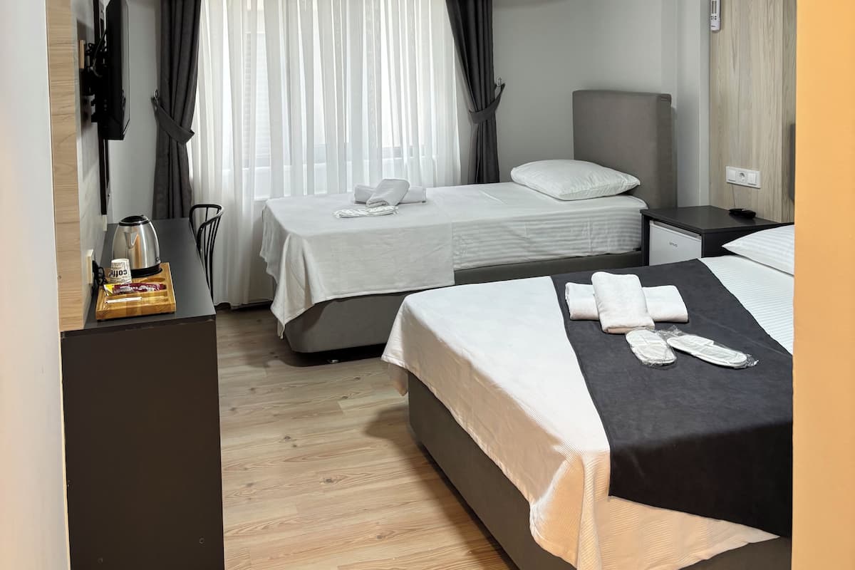 Basic Triple Room