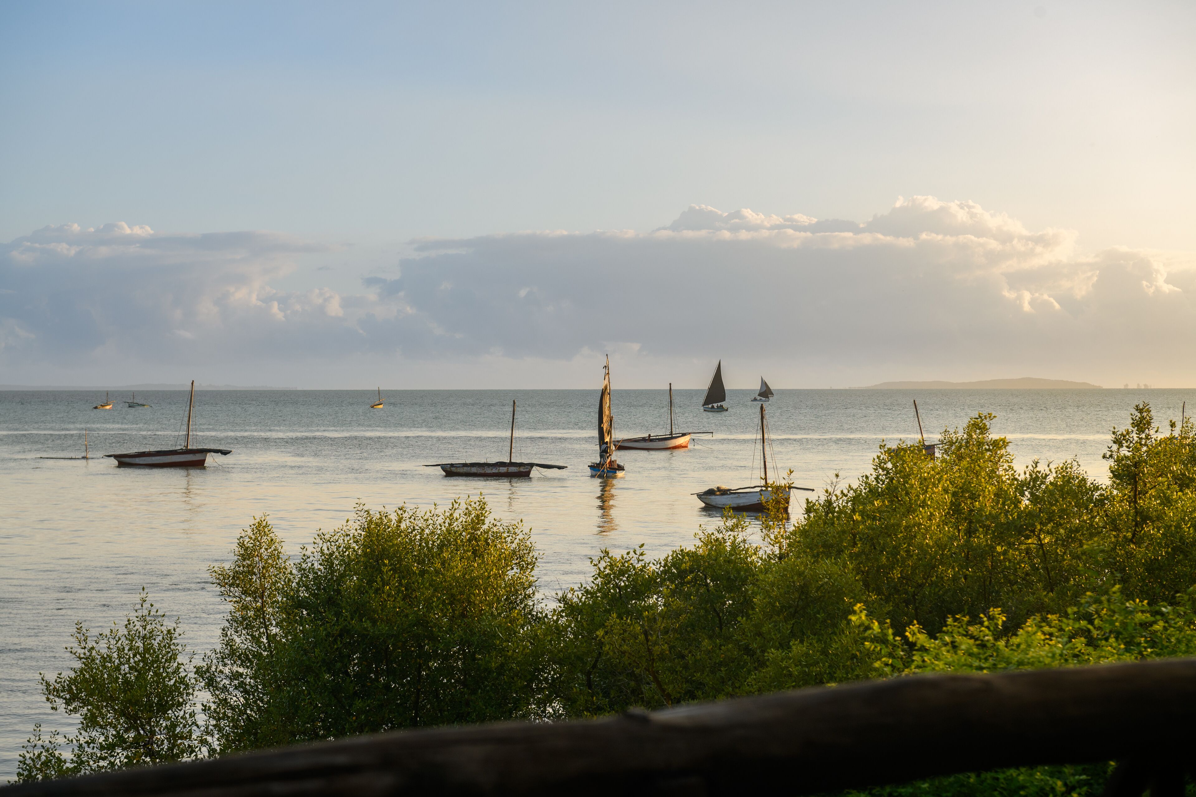 A calm lake with several sailboats and a distant shoreline.