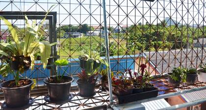 Local home for rent at Donsak Thailand
