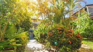 A pathway flanked by lush greenery and a building with a balcony. - Brisa do Caita Praia Hotel (Cairu)