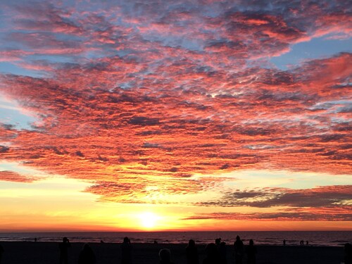 Plage et Jardin a Malo les Bains