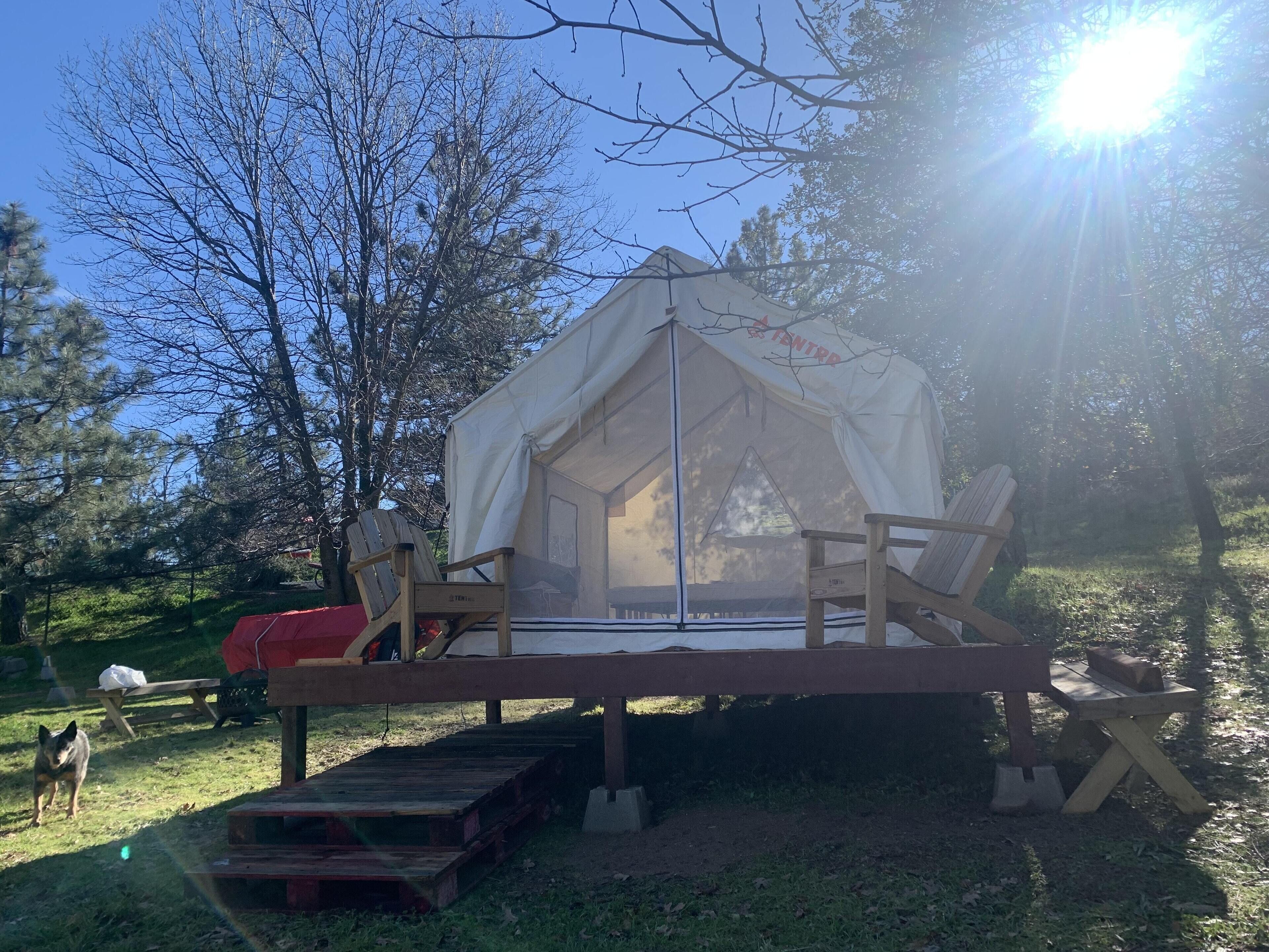 Tentrr Signature Site - The View Point~Come Catch the View!!