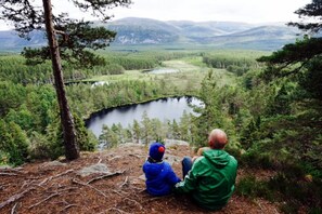 Miscellaneous - East Dell - a cosy woodland hideaway (Nethy Bridge)