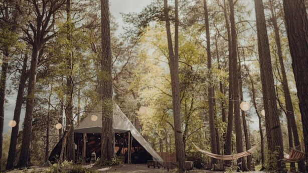 Une structure rustique en forme de tente, située dans une forêt, avec un hamac et des guirlandes lumineuses suspendues.