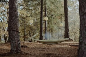 Property grounds - East Dell - a cosy woodland hideaway (Nethy Bridge)