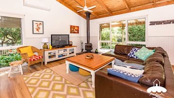 TV, fireplace, books, offices