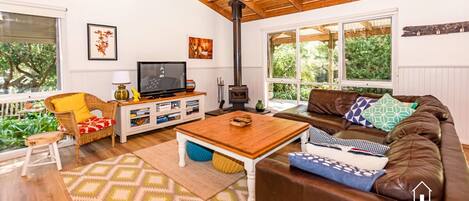 Smart TV, fireplace, DVD player, books