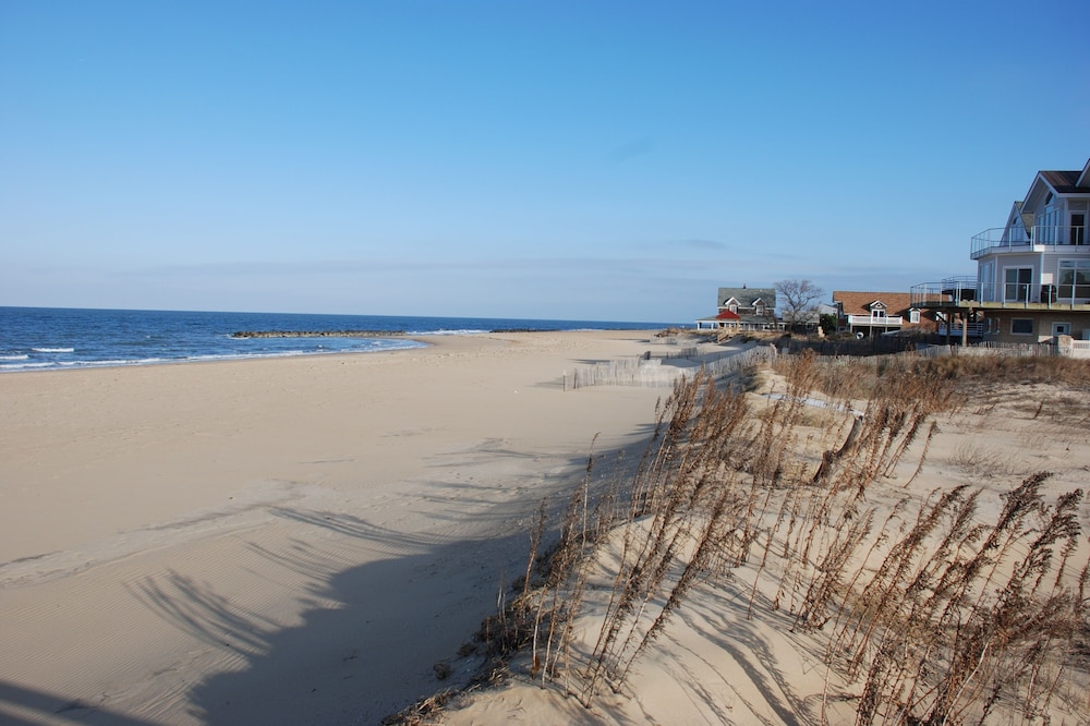 Cozy Suite - Pet Friendly, Beach Side 1 Bedroom Apts by Redawning