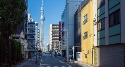 3F Facing Skdytree/6min stn/Direct NRT&HND&Disney